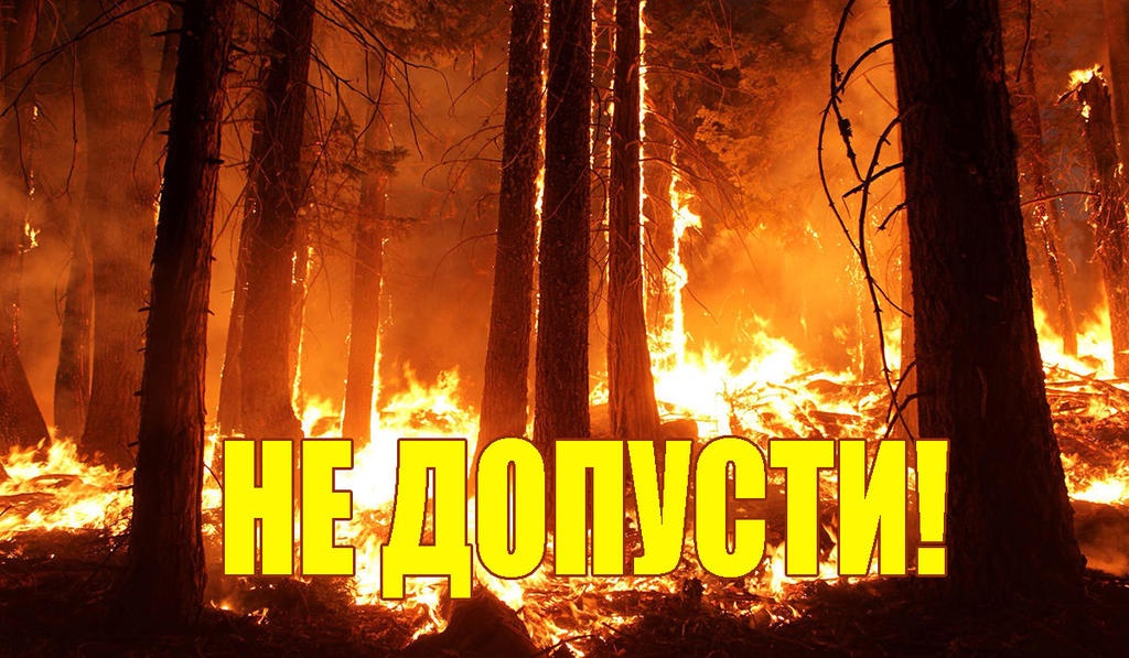 В Саратовской области введён особый противопожарный режим