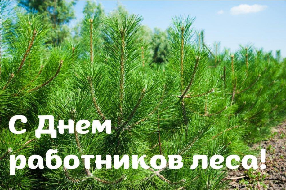 Поздравляем работников лесной отрасли с профессиональным праздником!