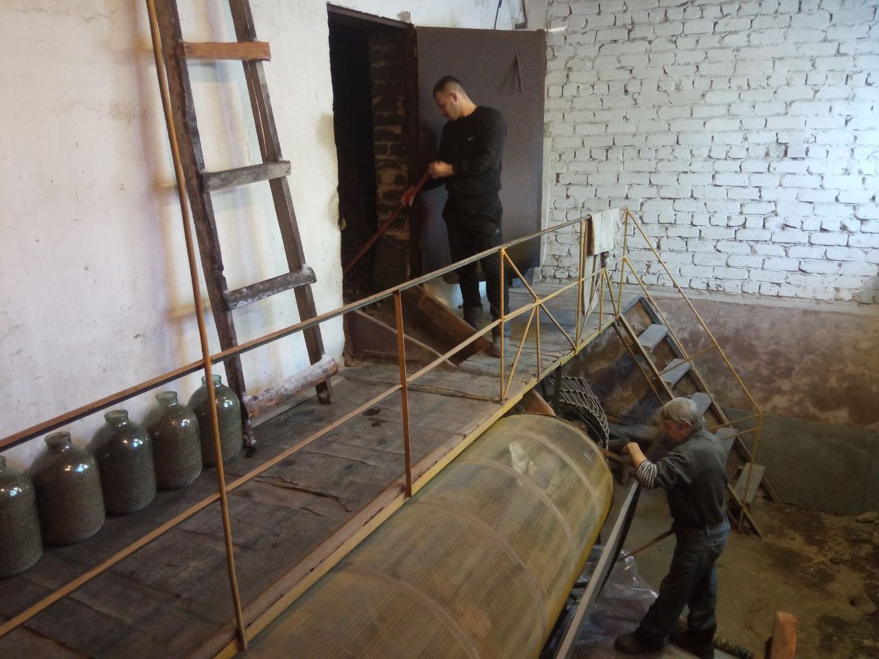 В Базарно-Карабулакском районе заготавливают семена сосны для будущих лесопосадок