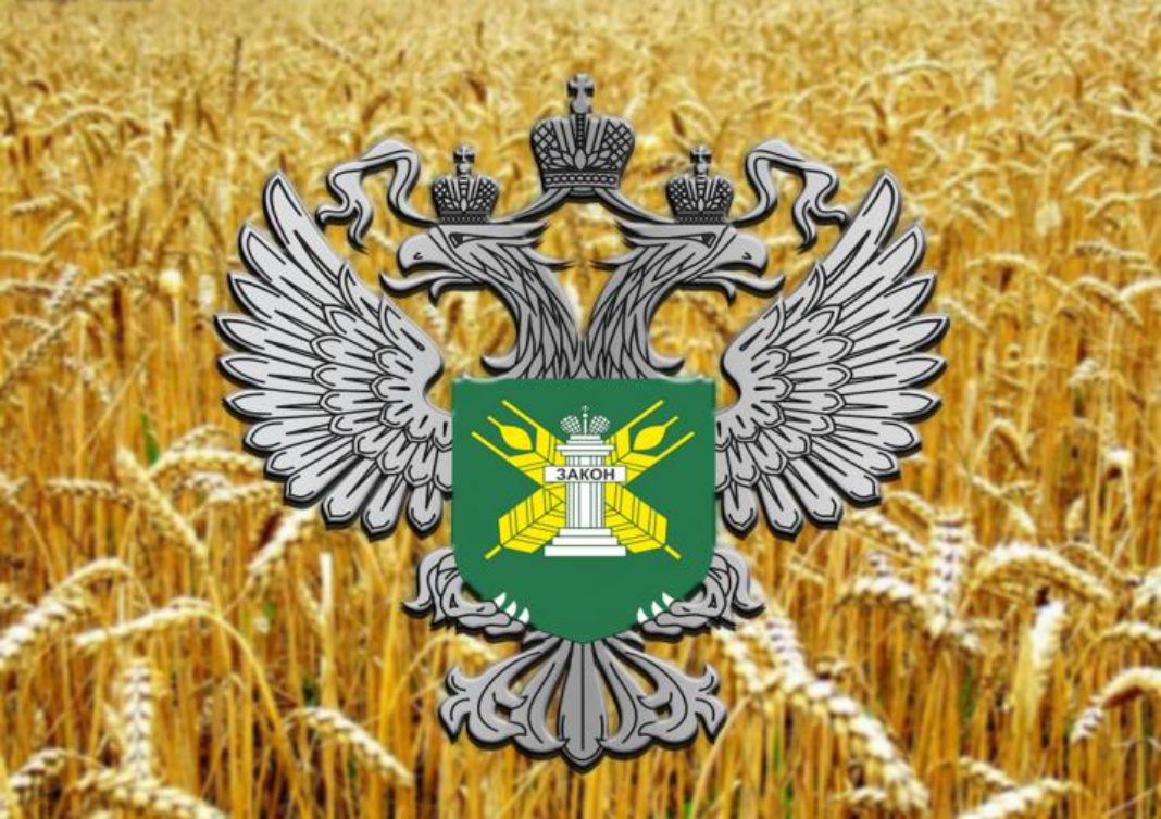 Свалка на сельхозугодиях – вред всей окружающей среде!