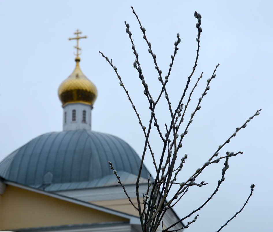 5 апреля - Вербное воскресенье