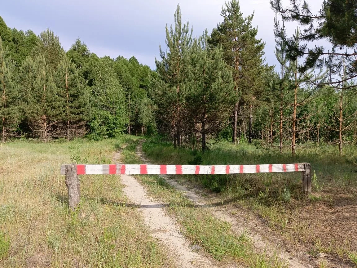 В регионе на землях лесного фонда введён особый противопожарный режим