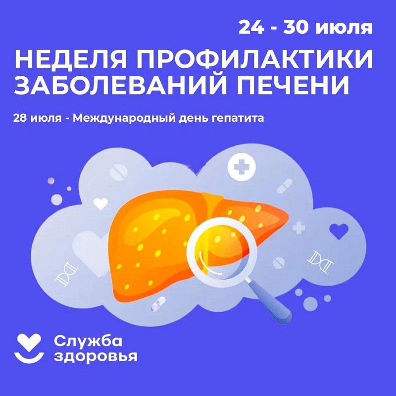 В РФ более 60% патологий печени связаны с чрезмерным употреблением алкоголя