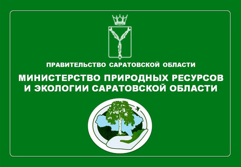 Порядка 150 сообщений в соцсетях поступило в экологическое ведомство в четвертом квартале 2024 года