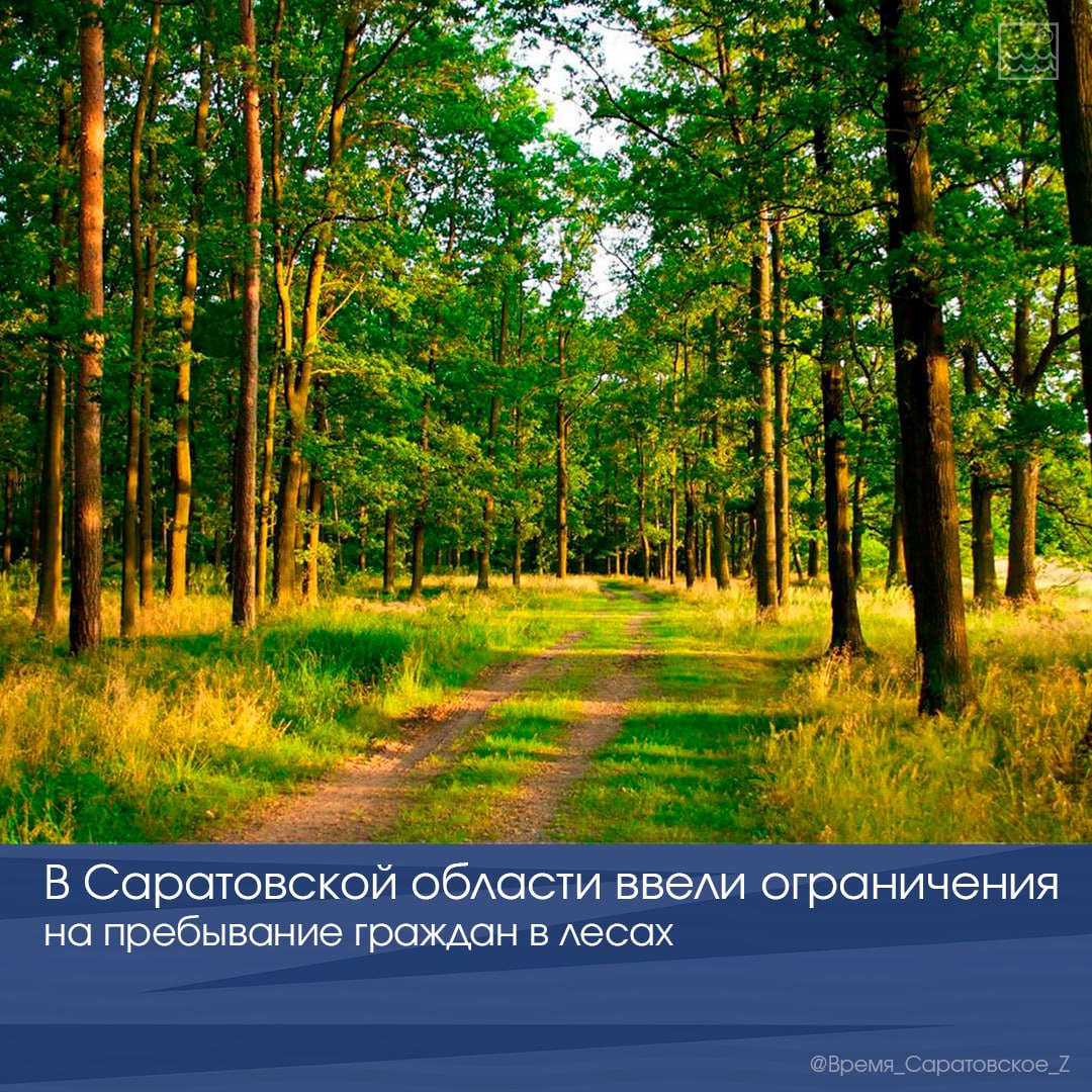 В Саратовской области ввели ограничения на пребывание граждан в лесах