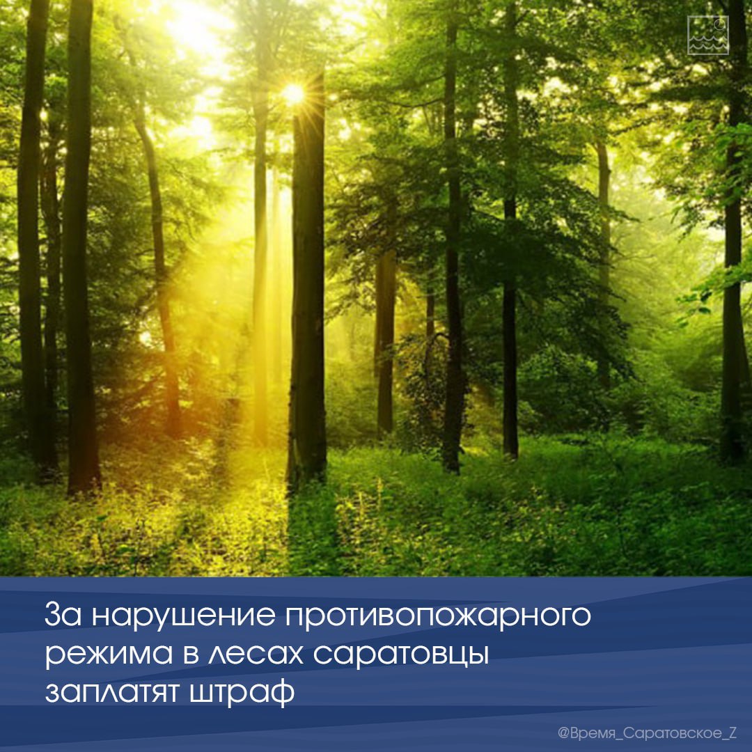 За нарушение противопожарного режима в лесах саратовцы заплатят штраф