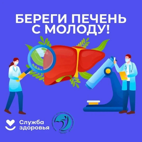 Молчаливый орган под ударом: почему стоит прислушаться к своей печени.
